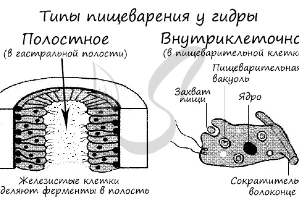 Кракен даркнет тор