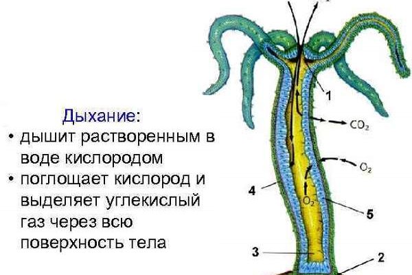 Кракен что продают