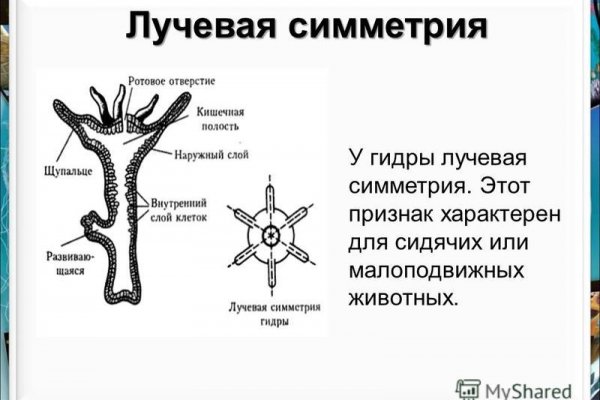 Что такое кракен площадка