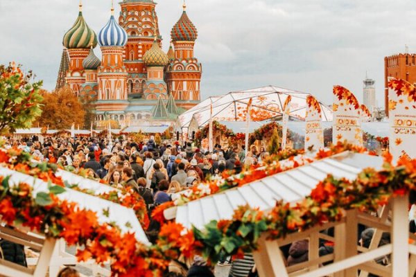 Где взять ссылку на кракен