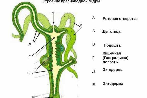 Кракен вход kr2web in